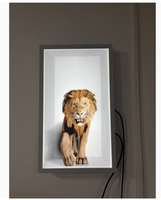 Affichage commercial transparent 3D spatial de 86 pouces et 32 pouces