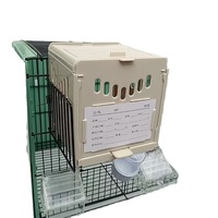 Cage à oiseaux portable et respirante, cage de transport légère avec fermeture à bouton en plastique