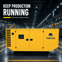 Groupe électrogène diesel insonorisé 50KW 100KW 300KW, moteur silencieux, système d'alimentation de secours