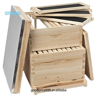 Colmena Langstroth de 10 cuadros de abeto chino, precio de fábrica OEM, kit de colmenas de abejas