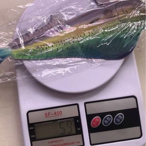 รูปทรงปลาฉลามสแตนเลสสตีล ของตกแต่งผนังสำหรับตกแต่งบ้าน ห้องนั่งเล่น ห้องนอน ของประดับตกแต่งผนัง - Product Image 4
