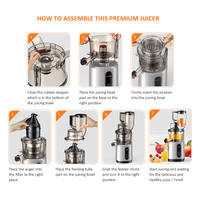 Factory Direct Selling Smart Elektrische Brede Mond Chute Verticale Masticating Hele Grote Mond Langzaam Druk Juicer Extractor