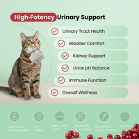 Complément alimentaire naturel 6-en-1 certifié GMP pour les voies urinaires des animaux de compagnie – Soutien complet pour les reins et la vessie des chats – Friandises à mâcher contre les calculs de struvite et les infections urinaires