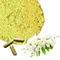 Extrait de Sophora japonica de haute qualité 100% pur en vrac, extrait de quercétine, capsules de quercétine ODM, poudre d'extrait de quercétine