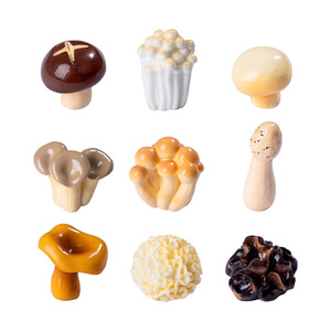 Micro Paysage Simulation DIY Décoration 11 Styles Mini Résine Artisanat Bouteille Ornement Alimentaire Champignon Style pour Jardin & Cadeaux - Product Image 5