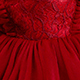 Abito da Battesimo Ricamato per Bambina 0-2 Anni, Vestito Rosso Vaporoso e Bellissimo per Feste di Compleanno - Product Image 6