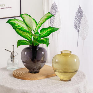 Meixuan florero hidropónico transparente de plástico soplado con boca moderno para sala de estar - Product Image 2