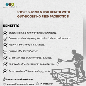 สารอาหารเสริมโปรไบโอติกสำหรับบ่อปลา - Product Image 1