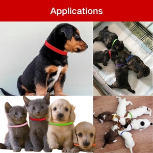 Collares de Identificación <span class=keywords><strong>para</strong></span> Mascotas de Primera Calidad, Coloridos, Reutilizables, con Cierre de Velcro, <span class=keywords><strong>para</strong></span> Uso en Clínicas Veterinarias y Cría de Cachorros - Product Image 4