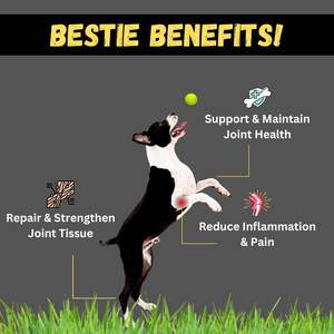 Suplemento orgánico para cadera y articulaciones de perros, suplemento para articulaciones de perros con vitamina E, suplemento para articulaciones de perros - Product Image 2