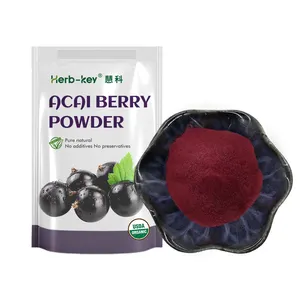 Tanaman Murni Harga Terbaik 10:1 Bubuk Acai Berry Beku Kering Kapsul Berry Acai