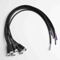 Cable de arnés de cables, conector Molex personalizado, 1,0, 1,25, 1,5, 2,0, 2,54mm, 2/3/4/5/6