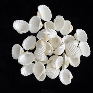 <span class=keywords><strong>100</strong></span> Piezas de Conchas Marinas en Forma de Corazón de 1.5-2.5 CM, Blancas, Pequeñas, para Pintar, Decoración de Bodas y Playa, al por Mayor - Product Image 2