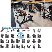 Máquina Dual de Fitness para Interiores: Lat Pulldown y Remo Bajo, con Pila de Pesas, para Gimnasio Comercial, Fortalecimiento de Espalda y Brazos, Ajustable y Duradera