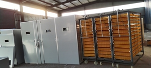 Lớn <span class=keywords><strong>10000</strong></span> trứng lồng ấp mới thương mại gà ngỗng đà điểu vịt gà Tây Trứng lồng ấp để bán 220V - Product Image 6