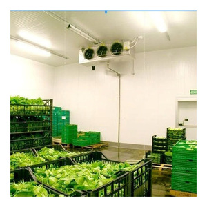 <span class=keywords><strong>Mejor</strong></span> <span class=keywords><strong>Precio</strong></span> en Instalación de Almacenamiento en Frío -25°C ° De la C a la 15 ° Gama C Diseñada para la Industria de Alimentos Congelados y Helados - Product Image 6