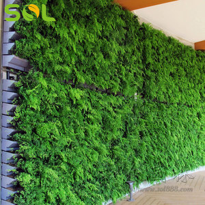 Montado <span class=keywords><strong>en</strong></span> la <span class=keywords><strong>pared</strong></span> macetas de plástico jardín <span class=keywords><strong>vertical</strong></span> <span class=keywords><strong>pared</strong></span> verde hierba y macetas - Product Image 6
