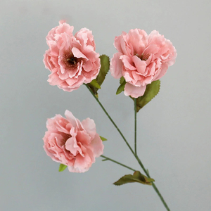 Étagère Camélia Rose Anti-Poussière Décorative DIY Couronne Florale Fournitures Têtes de Chrysanthème Rose pour Noël Retour École - Product Image 4