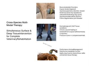 ESWT Smartfocus Máquina de terapia de ondas de choque Uso veterinario Máquina de terapia de ondas de choque electromagnéticas enfocadas para animales - Product Image 3