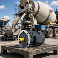 Moteur triphasé TEFC en fonte à faible bruit de vibration 380V/660V 75kW 50Hz Moteur à induction 50Hz pour bétonnière