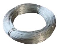 Fil d'acier galvanisé 1mm 2mm 2.5mm 3mm Cintre de clôture Fil d'acier au carbone galvanisé pour reliure