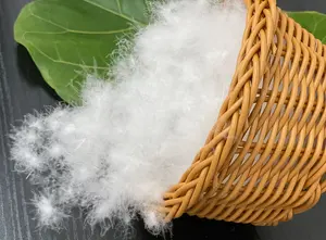 Wholesale For Home Bedding Raw Materials Filling 90% Washed White Duck Down Feather