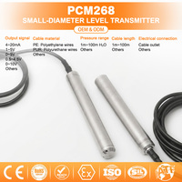 Capteur de niveau submersible compact professionnel OEM ODM, diamètre 19 mm, sortie 4-20 mA pour réservoir industriel et puits profond