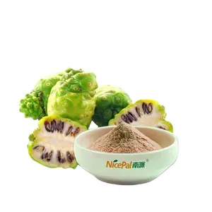 Getrocknetes Noni-Extrakt-Frucht pulver Noni-Saft pulver Noni-Pulver zum Abnehmen