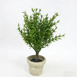 Arbres artificiels de 21 cm, vert clair, <span class=keywords><strong>romarin</strong></span>, petit arbre bonsaï avec pot en pulpe vintage, mini plante en pot pour la décoration de la maison - Product Image 1