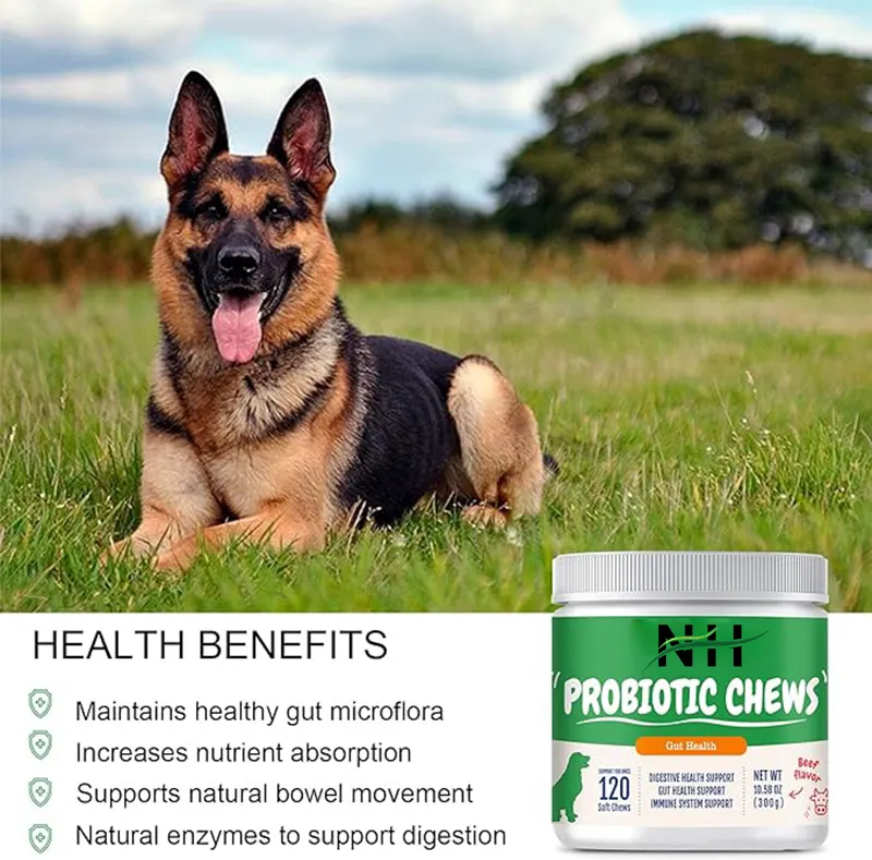 Supplément probiotique pour animaux de compagnie soutient la santé digestive et intestinale avec supplément multivitaminé pour chien citrouille