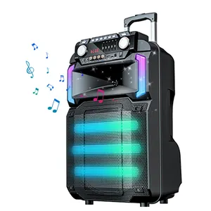 12 inch Bluetooth Trolley Speakers With Microphone Karaoke Fm/usb/tf/aux/rgb Lights Dj Party Bluetooth Speaker Parlantes