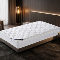 Matelas en éponge écologique orthopédique pleine grandeur, durable, haute densité, à récupération lente, respirant, pour usage hôtelier, vente en gros