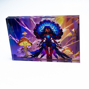 Hanxin tròn cạnh <span class=keywords><strong>Acrylic</strong></span> trường hợp, an toàn Anime Thẻ lưu trữ số lượng lớn bán buôn phim hoạt hình phim hoạt hình tùy chỉnh <span class=keywords><strong>Acrylic</strong></span> gạch - Product Image 4