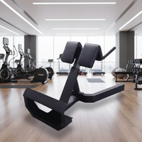LENDON Nouveau design Banc de musculation commercial Roman Chair pour extensions dorsales, équipement de musculation pour salle de sport à domicile, chaise haltères et machine d'entraînement lombaire