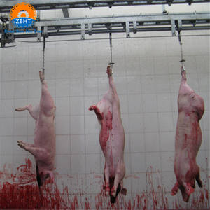 Machine d'abattage automatisée pour grande abattoir de porcs, garantie 1 an, équipement en acier inoxydable, 380V 220V - Product Image 3