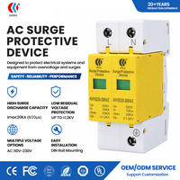 Parafoudre de type 2 20kA 2P 275V AC pour rail DIN, protection contre les surtensions pour système solaire domestique et boîtier de distribution industriel