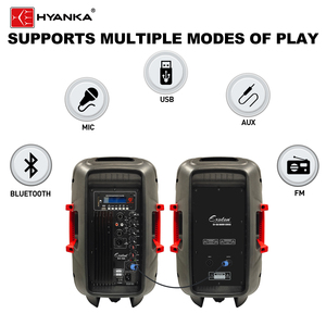 Système de sonorisation de scène HYANKA S-1502 15 pouces 8 canaux, <span class=keywords><strong>ensemble</strong></span> <span class=keywords><strong>complet</strong></span>, 250W, enceintes portables professionnelles pour <span class=keywords><strong>DJ</strong></span>, extérieur - Product Image 3
