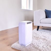 Déshumidificateur purificateur d'air électrique DD8 - Silencieux pour chambre à coucher - Garantie 1 an - Usage domestique