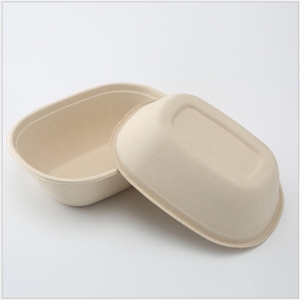Disposable Degradable And Eco Friendly Oval Children's Large Capacity Bento Lunch Box - Product Image 1