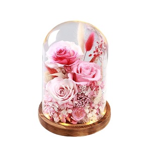 Rosa Eterna Sotto Campana di Vetro con Luce, Set <span class=keywords><strong>Regalo</strong></span> <span class=keywords><strong>Romantico</strong></span> Pronto da Regalare <span class=keywords><strong>per</strong></span> <span class=keywords><strong>Lei</strong></span>, San Valentino, Laurea, Compleanno, Anniversario - Product Image 5