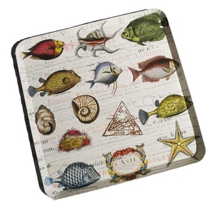 einweg ylnl426 abendessen druckplatte - Product Image 2