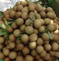 Vietnamese verse biologische longanvruchten voor export met stabiele aanvoer, concurrerende prijs, natuurlijke smaak, VietGAP gecertificeerd