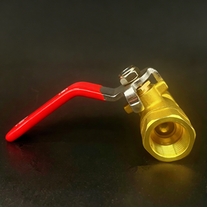 1 pièce Vanne à boisseau sphérique en acier inoxydable à passage plein, filetage femelle NPT BSP, pour l'eau, le gaz, l'huile, l'air, avec poignée à levier, pour utilisation durable - Product Image 3
