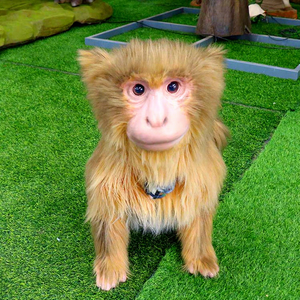 Hochwertiges Handgefertigtes Metall-Animatronisches Hund- & Affenmodell - Interaktives Mechanisches Tiermodell für Innenbereich/Tagesstätte/Sammlung - Product Image 1