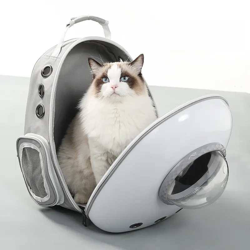 제조 업체 도매 맞춤형 휴대용 투명 환기 캡슐 애완 동물 배낭 대용량 사이드 오픈 학교 가방