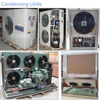 Chambre froide complète avec panneaux en polyuréthane Portes Condesning Unit Walking Cooler Petit boucher Réfrigérateur Chambre froide