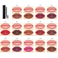 Vente en gros label privé végan étanche 2 en 1 rouge à lèvres liquide mat brillant à lèvres crayon crayon 30 couleurs kit de maquillage des lèvres