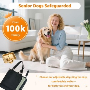 Soporte para Patas Traseras de Perro, Tela Oxford, Ayuda para el Equilibrio, Asistencia para Caminar para Perros Mayores - Product Image 5