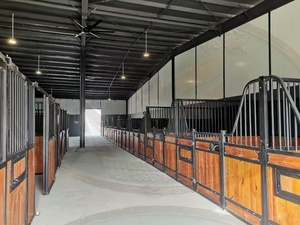 馬の所有者とレーシングファームのための高品質パウダーコーティングされた馬の納屋ヘビーデューティープレハブの屋台 - Product Image 3