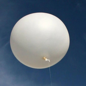 72 inch 240 inch lớn lớn <span class=keywords><strong>Latex</strong></span> <span class=keywords><strong>Balloon</strong></span> khí tượng bóng - Product Image 2
